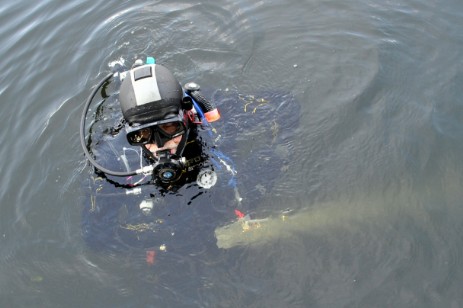 Taucher im Wasser Taucher im Wasser